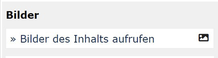 Datei:PPS screenshot ex beitrag aus online bilder aufrufen.png