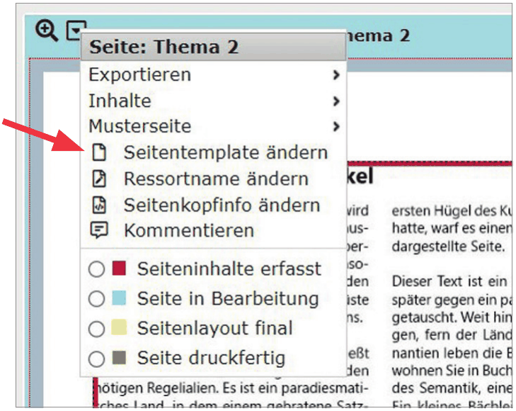 Datei:PPS S41 screenshot 4 seitenoptionen.png