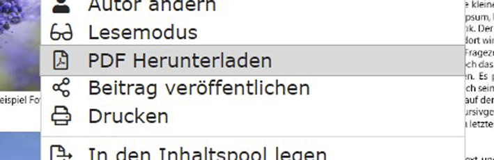 Datei:PPS screenshot 10 PDF herunterladen beitrag.png