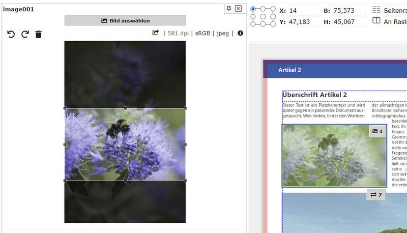 Datei:PPS screenshot 5 bild eingefuegt.png