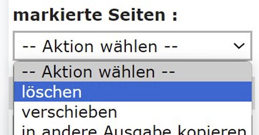 Seite loeschen