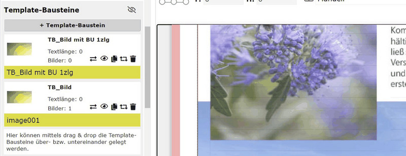 Datei:PPS screenshot ex TPBausteinebenen.png